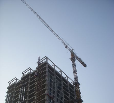 Harga bagus Keran menara pendakian 50Hz listrik dengan kapasitas angkat 12 ton Jenis panel on line